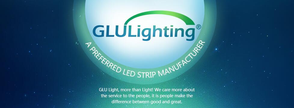 Professional china 3528 led strip factory China professional led strip manufacturer.jpg