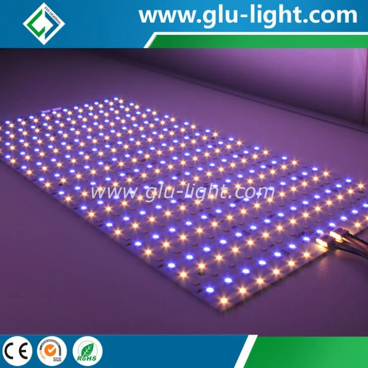 5 colors OEM RGB WWW all in 1 Ra95  led matt for TV shows
