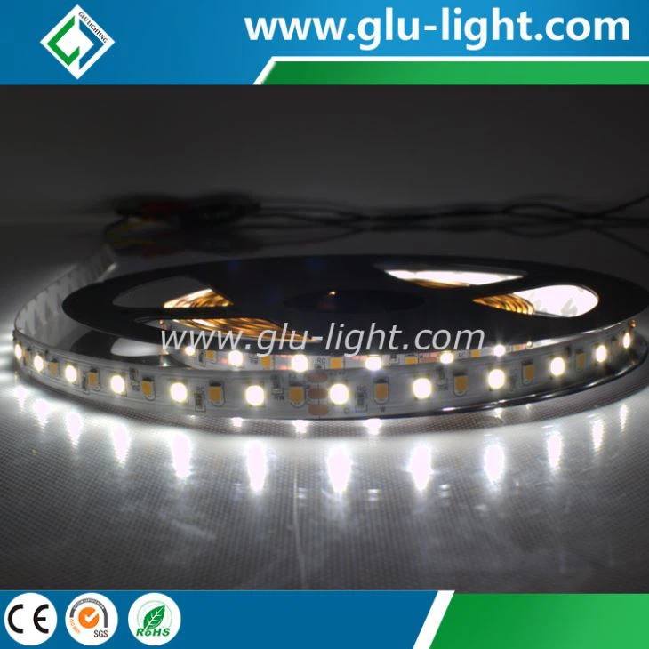 Madeinchina Customized Ra97 w/ww 2835 led CCT changeable led strip 120leds/m