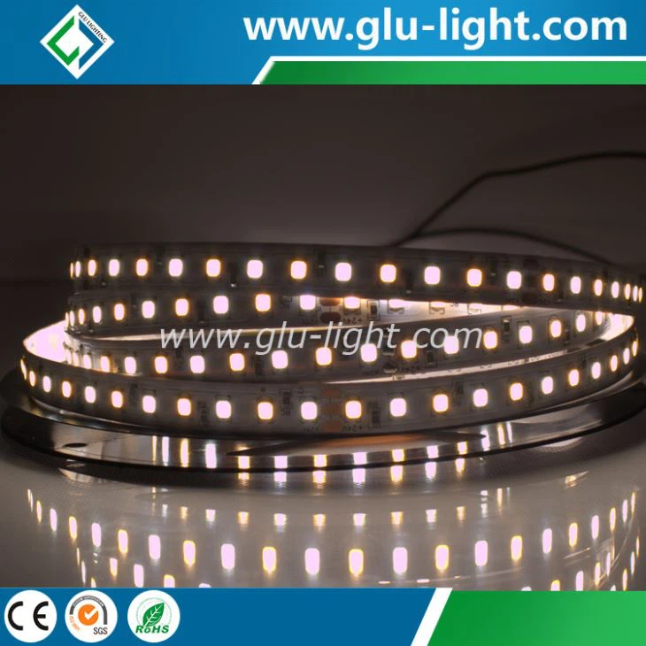china factory 60/120 leds/m Ra97 two colors hybird 2835 cct led strip light