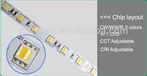CE/ROHS CRI and CCT changable 5050 WWR led strip