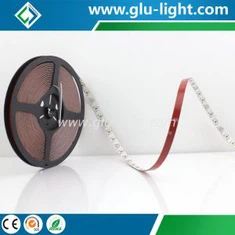 12V/24V 10mm High Cri Ra95 3014 Smd Led Strip Light 120leds/m sa CE/RoHS